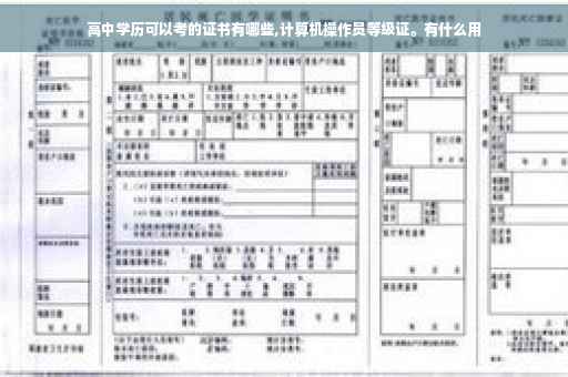 高中学历可以考的证书有哪些,计算机操作员等级证。有什么用