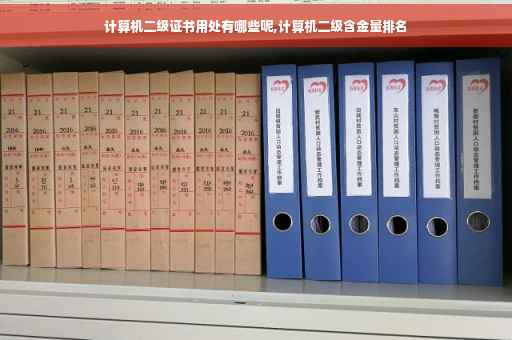 计算机二级证书用处有哪些呢,计算机二级含金量排名
