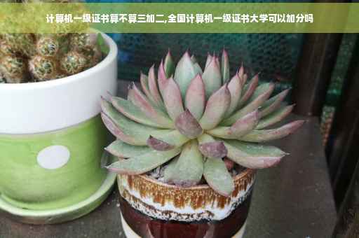 计算机一级证书算不算三加二,全国计算机一级证书大学可以加分吗