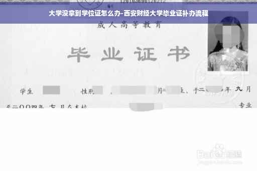 大学没拿到学位证怎么办-西安财经大学毕业证补办流程