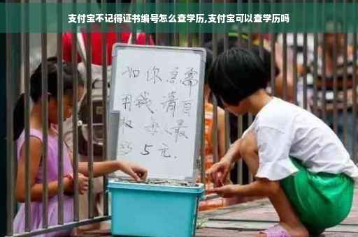支付宝不记得证书编号怎么查学历,支付宝可以查学历吗