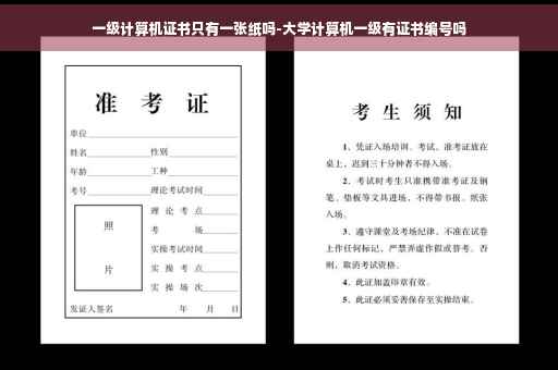 一级计算机证书只有一张纸吗-大学计算机一级有证书编号吗