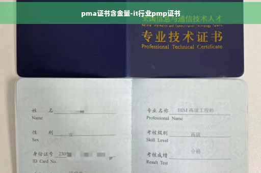 pma证书含金量-it行业pmp证书