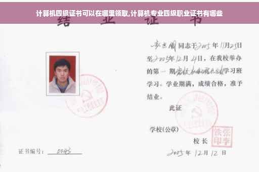 计算机四级证书可以在哪里领取,计算机专业四级职业证书有哪些