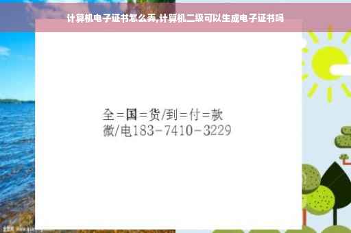计算机电子证书怎么弄,计算机二级可以生成电子证书吗