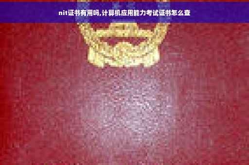 nit证书有用吗,计算机应用能力考试证书怎么查