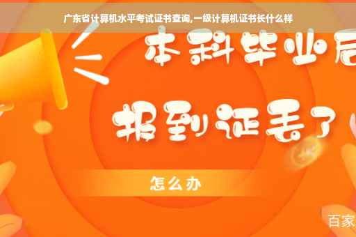 广东省计算机水平考试证书查询,一级计算机证书长什么样