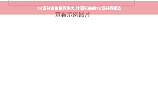 1x证书含金量有多大,计算机类的1x证书有哪些