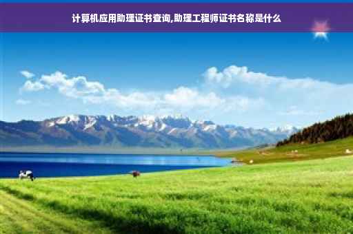 计算机应用助理证书查询,助理工程师证书名称是什么