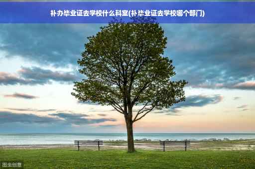 补办毕业证去学校什么科室(补毕业证去学校哪个部门)
