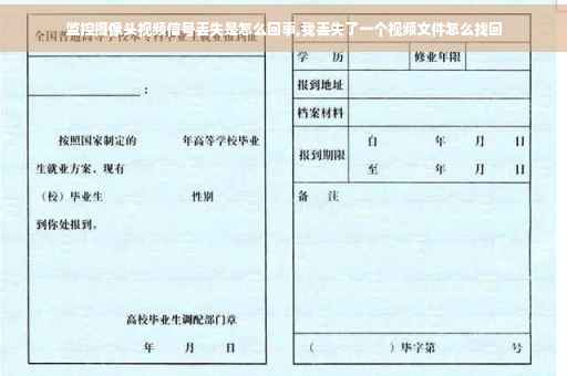 监控摄像头视频信号丢失是怎么回事,我丢失了一个视频文件怎么找回