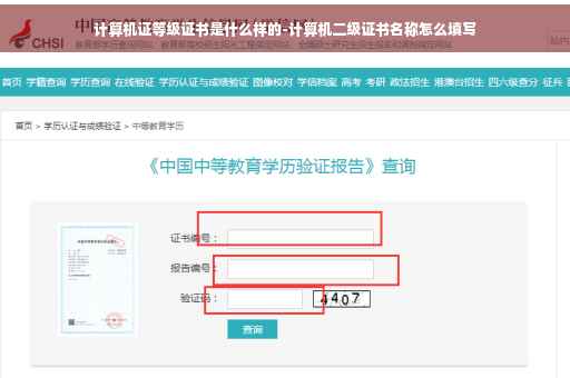 计算机证等级证书是什么样的-计算机二级证书名称怎么填写