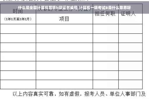 什么是全国计算机等级b级证书编号,计算机一级考试B是什么意思呀