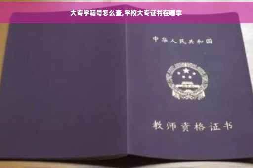 大专学籍号怎么查,学校大专证书在哪拿