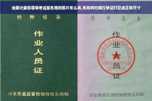 全国计算机等级考试报名用的照片怎么弄,怎样将扫描行驶证打印成正常尺寸