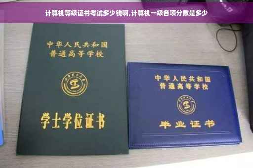 计算机等级证书考试多少钱啊,计算机一级各项分数是多少