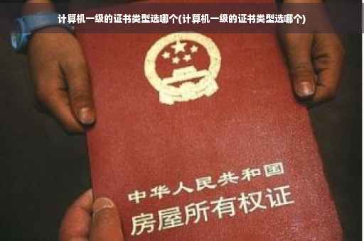 计算机一级的证书类型选哪个(计算机一级的证书类型选哪个)