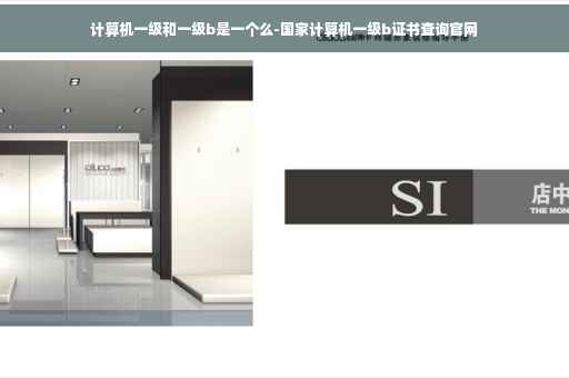 计算机一级和一级b是一个么-国家计算机一级b证书查询官网
