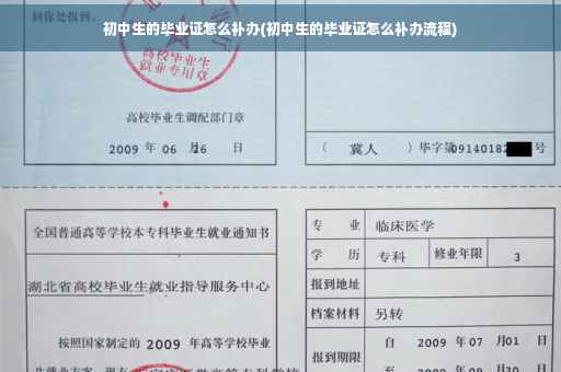 初中生的毕业证怎么补办(初中生的毕业证怎么补办流程)