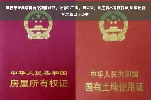 学校毕业要求有两个技能证书,计算机二级,四六级,到底算不算技能证,国家计算机二级以上证书 学校毕业要求有两个技能证书,计算机二级,四六级,到底算不算技能证,国家计算机二级以上证书
