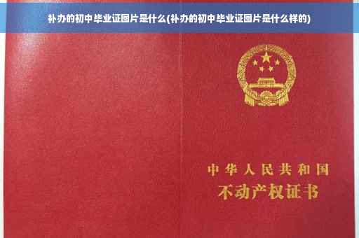 补办的初中毕业证图片是什么(补办的初中毕业证图片是什么样的)