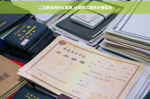 二三级证书什么意思,计算机二级的合格证书