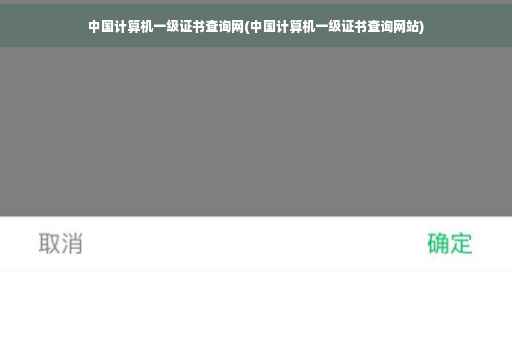 中国计算机一级证书查询网(中国计算机一级证书查询网站)