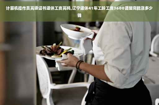 计算机操作员高级证书退休工资高吗,辽宁退休41年工龄工资3600调整完能涨多少钱