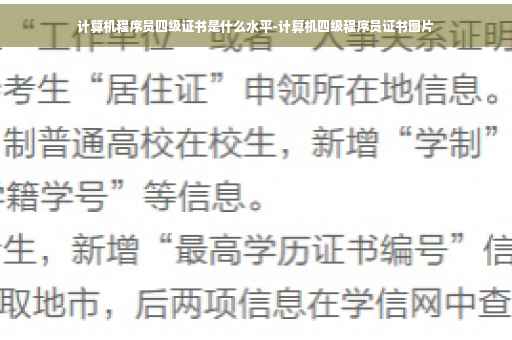 计算机程序员四级证书是什么水平-计算机四级程序员证书图片