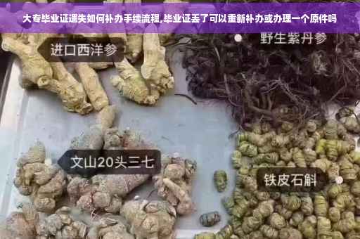 大专毕业证遗失如何补办手续流程,毕业证丢了可以重新补办或办理一个原件吗