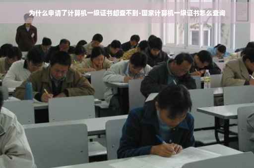 为什么申请了计算机一级证书却查不到-国家计算机一级证书怎么查询