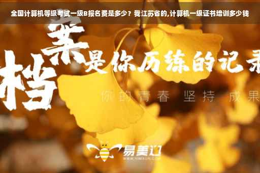 全国计算机等级考试一级B报名费是多少？我江苏省的,计算机一级证书培训多少钱