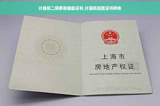 计算机二级都有哪些证书,计算机技能证书种类