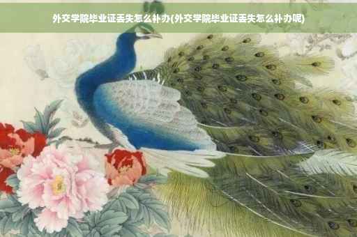 外交学院毕业证丢失怎么补办(外交学院毕业证丢失怎么补办呢)