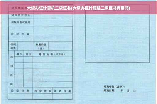 六级办证计算机二级证书(六级办证计算机二级证书有用吗)