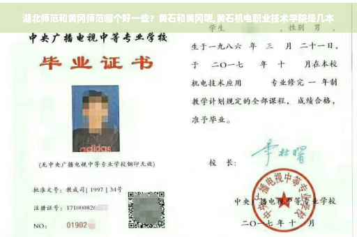 湖北师范和黄冈师范哪个好一些？黄石和黄冈呢,黄石机电职业技术学院是几本
