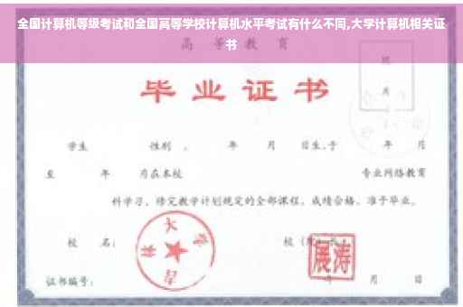全国计算机等级考试和全国高等学校计算机水平考试有什么不同,大学计算机相关证书