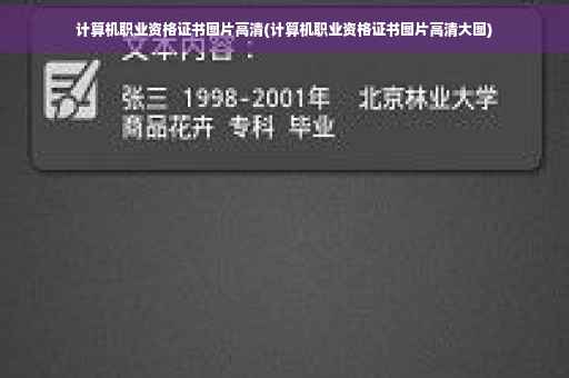 计算机职业资格证书图片高清(计算机职业资格证书图片高清大图)