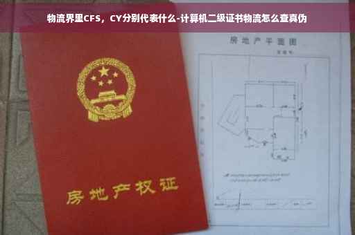 物流界里CFS，CY分别代表什么-计算机二级证书物流怎么查真伪