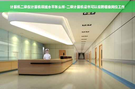 计算机二级在计算机领域水平怎么样-二级计算机证书可以应聘哪些岗位工作