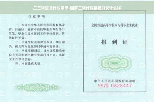 二三级证书什么意思-国家二级计算机证书长什么样