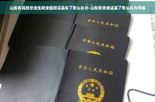 山东省高校毕业生就业报到证丢失了怎么补办-山东省毕业证丢了怎么补办手续