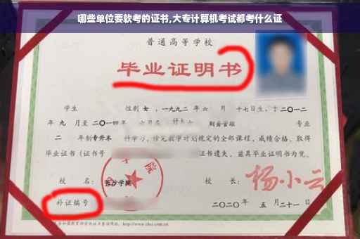 哪些单位要软考的证书,大专计算机考试都考什么证