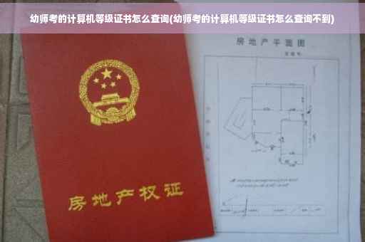 幼师考的计算机等级证书怎么查询(幼师考的计算机等级证书怎么查询不到)