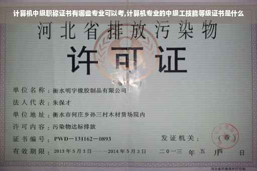计算机中级职称证书有哪些专业可以考,计算机专业的中级工技能等级证书是什么