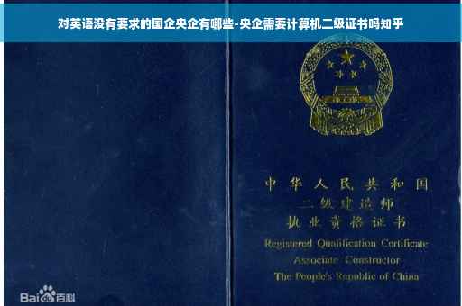 对英语没有要求的国企央企有哪些-央企需要计算机二级证书吗知乎