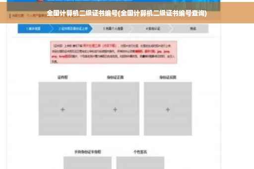 全国计算机二级证书编号(全国计算机二级证书编号查询)
