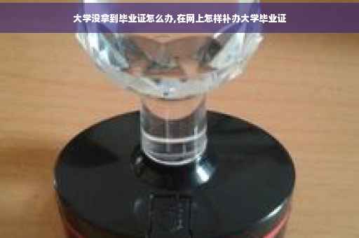 大学没拿到毕业证怎么办,在网上怎样补办大学毕业证