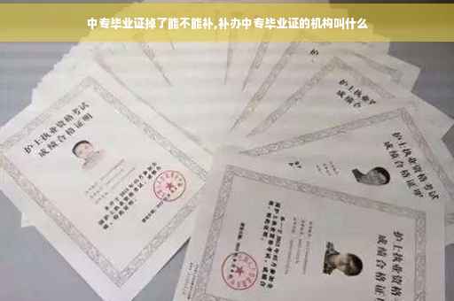 中专毕业证掉了能不能补,补办中专毕业证的机构叫什么