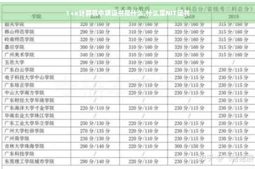 1+x计算机中级证书是什么,什么是NIT证书